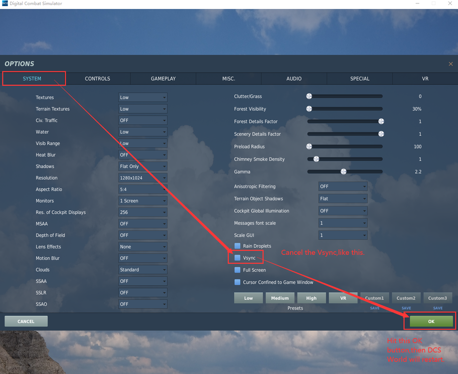 DCS World Setting About Vsync.png