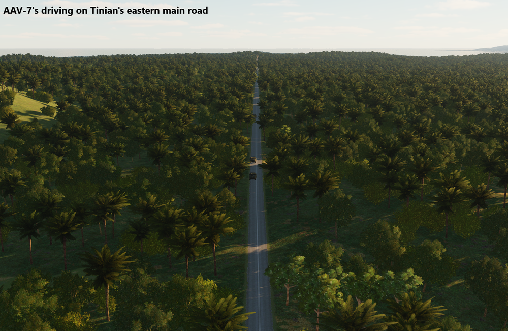 AAV-7's on the eastern main road.png