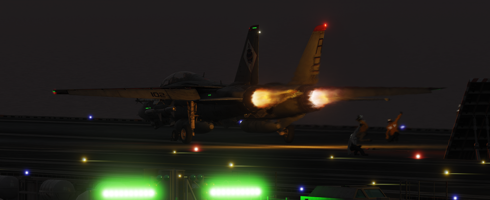 F-14_catshot.png