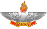 12-inch-Red-aviation-ordnance-logo-sticker-with-IYAOYAS-banner.png