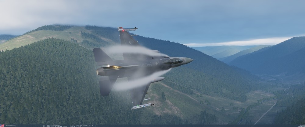 F16 in the weeds.jpg