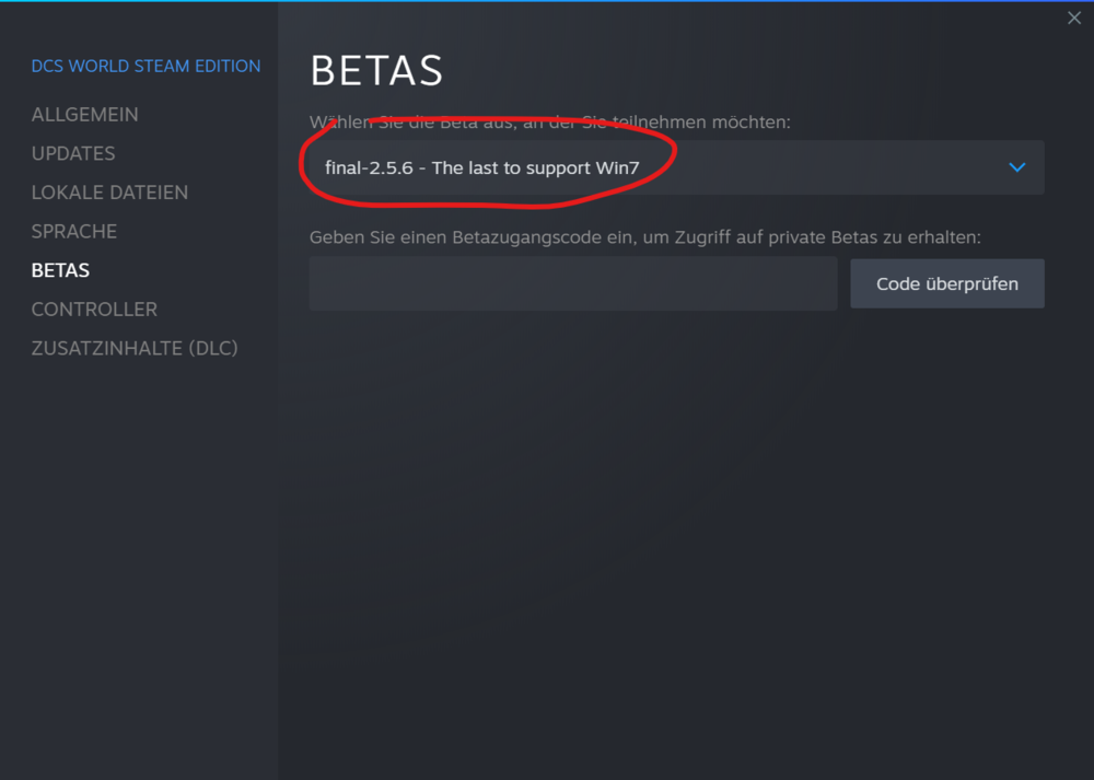 20220513 Optionen Steam.png