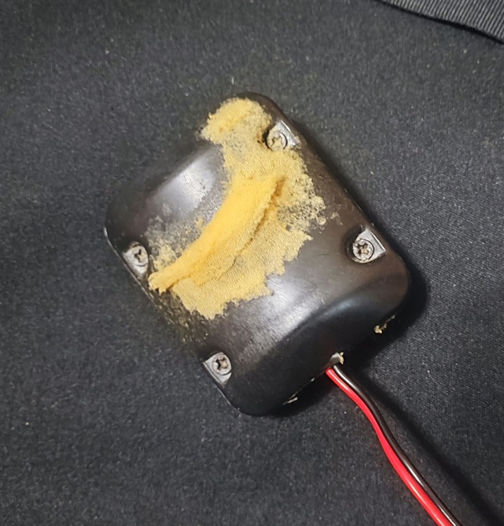 IMG_20220620_123443 (1).jpg