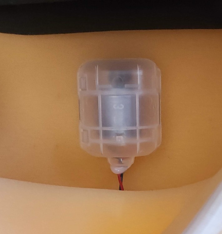 IMG_20220620_123245 (1).jpg