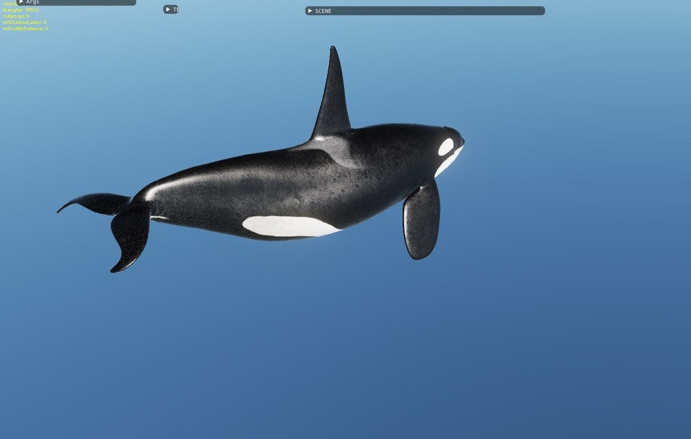 Orca.jpg