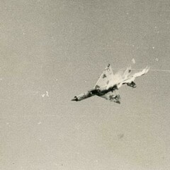 N49