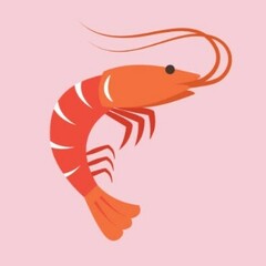 plate-of-shrimp