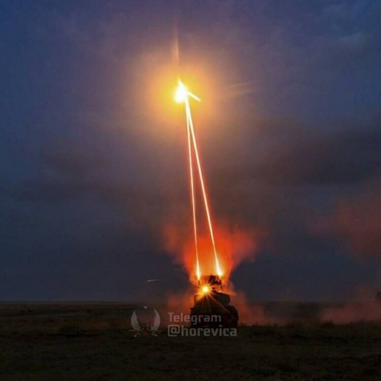 2022-10-19 Работа Гепарда по балалайке.jpg