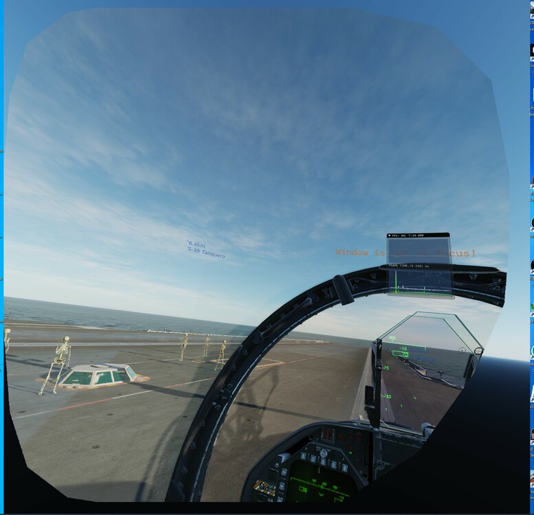 esqueletos carrier 2.jpg