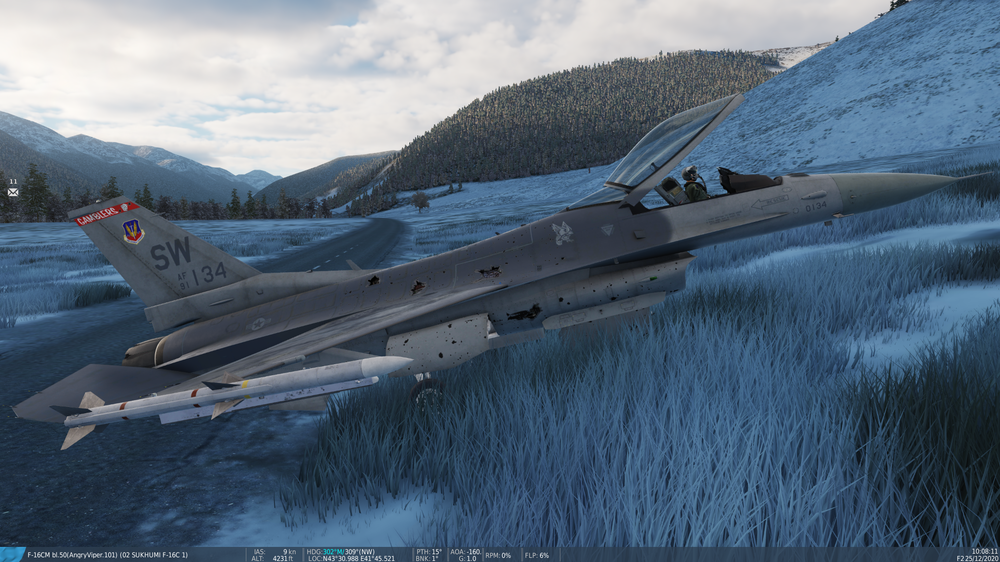 downed but safe ii.png