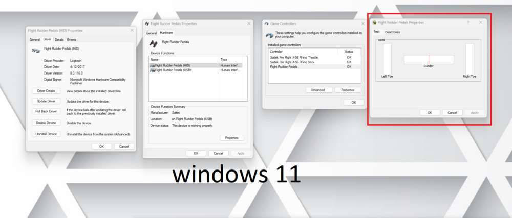 screenshot  win 11.png
