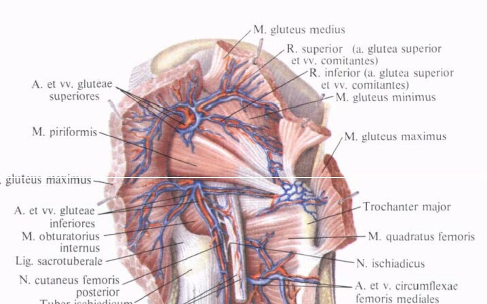 Screenshot 2022-12-24 001100.jpg