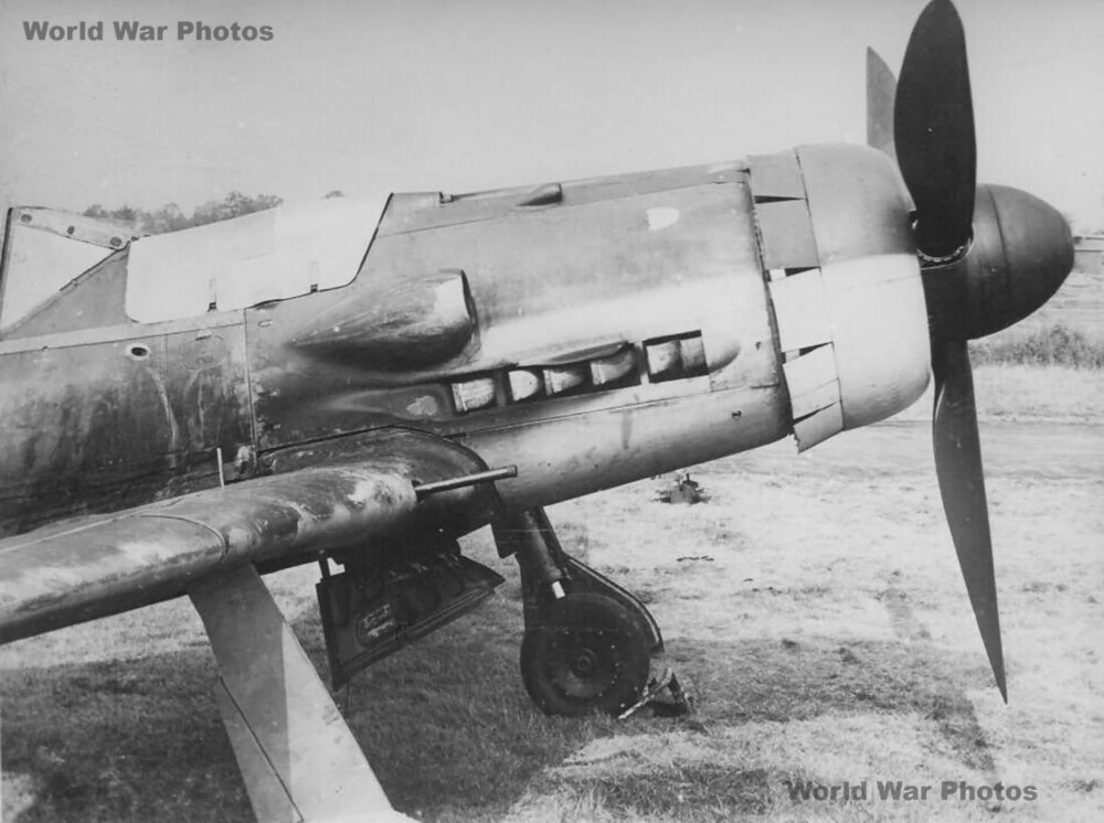 Fw_190D-9_nose.jpg