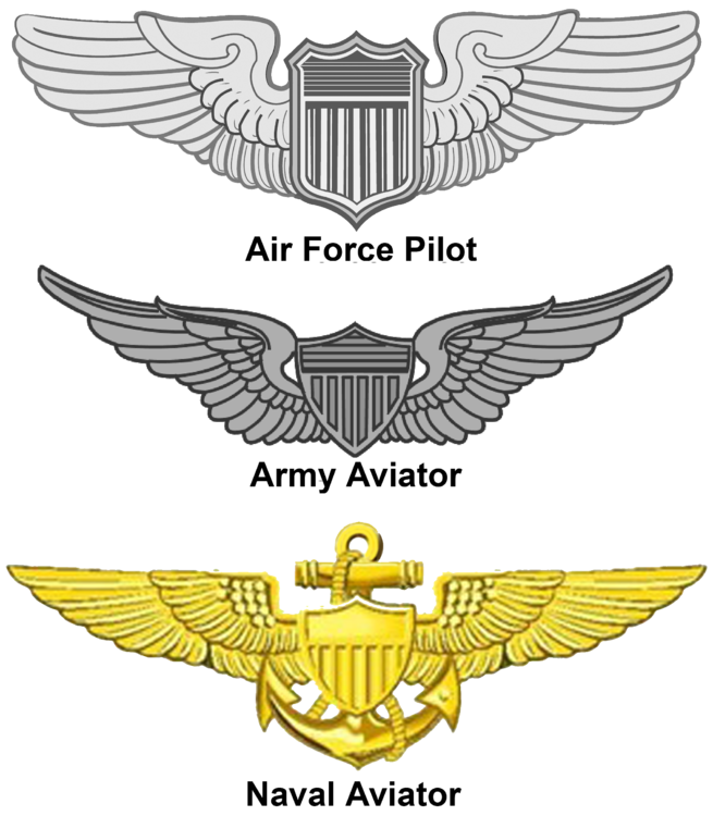 US_-_Aviation_Wings.png