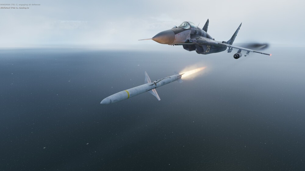 DCS 2023-03-21 22-13-06.jpg