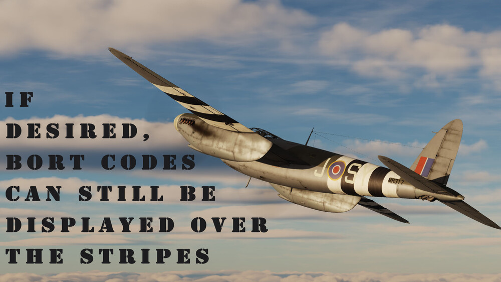 bort can display over stripes.jpg