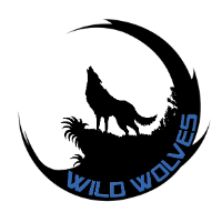 Wild Wolves Virtual Fighter Wing