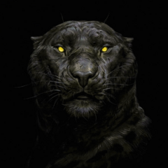 LE0PARD