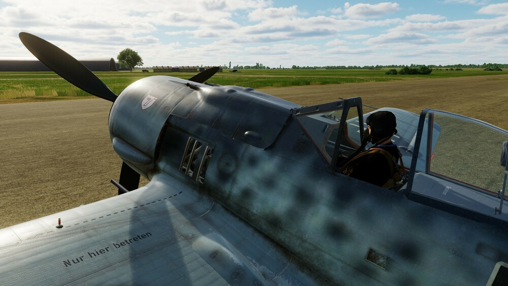 Fw 190 A-8#102.jpeg