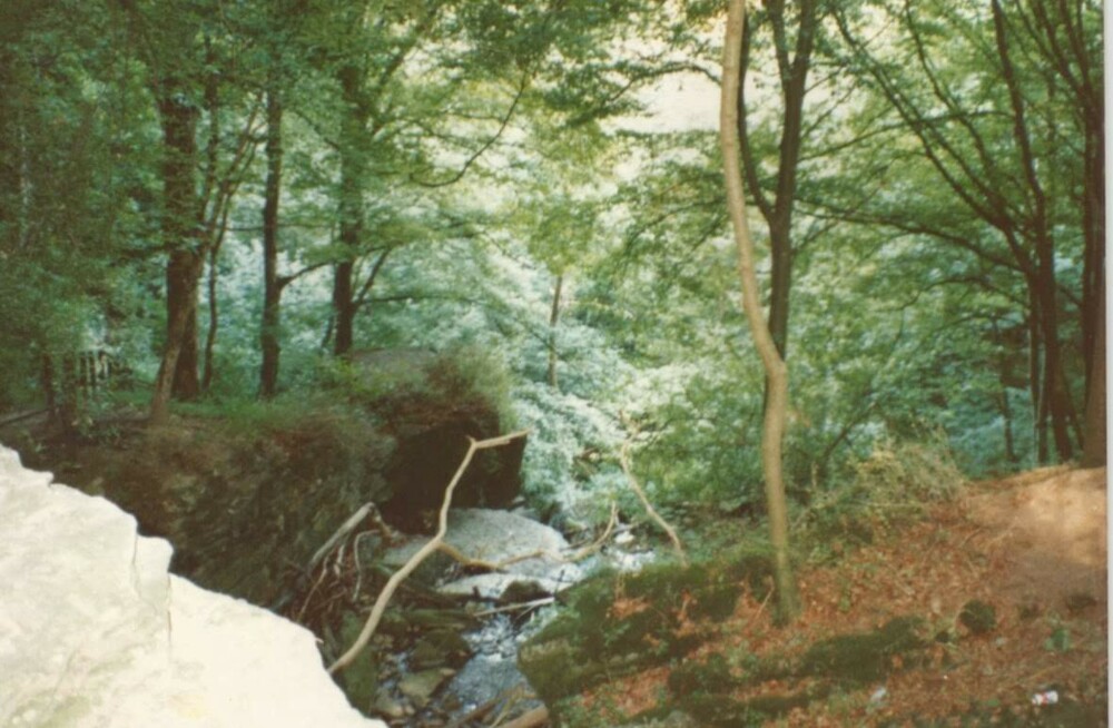 Hiking Bitburg Countryside.jpg