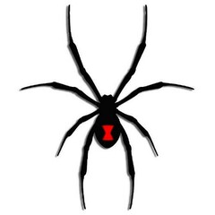 Spider808