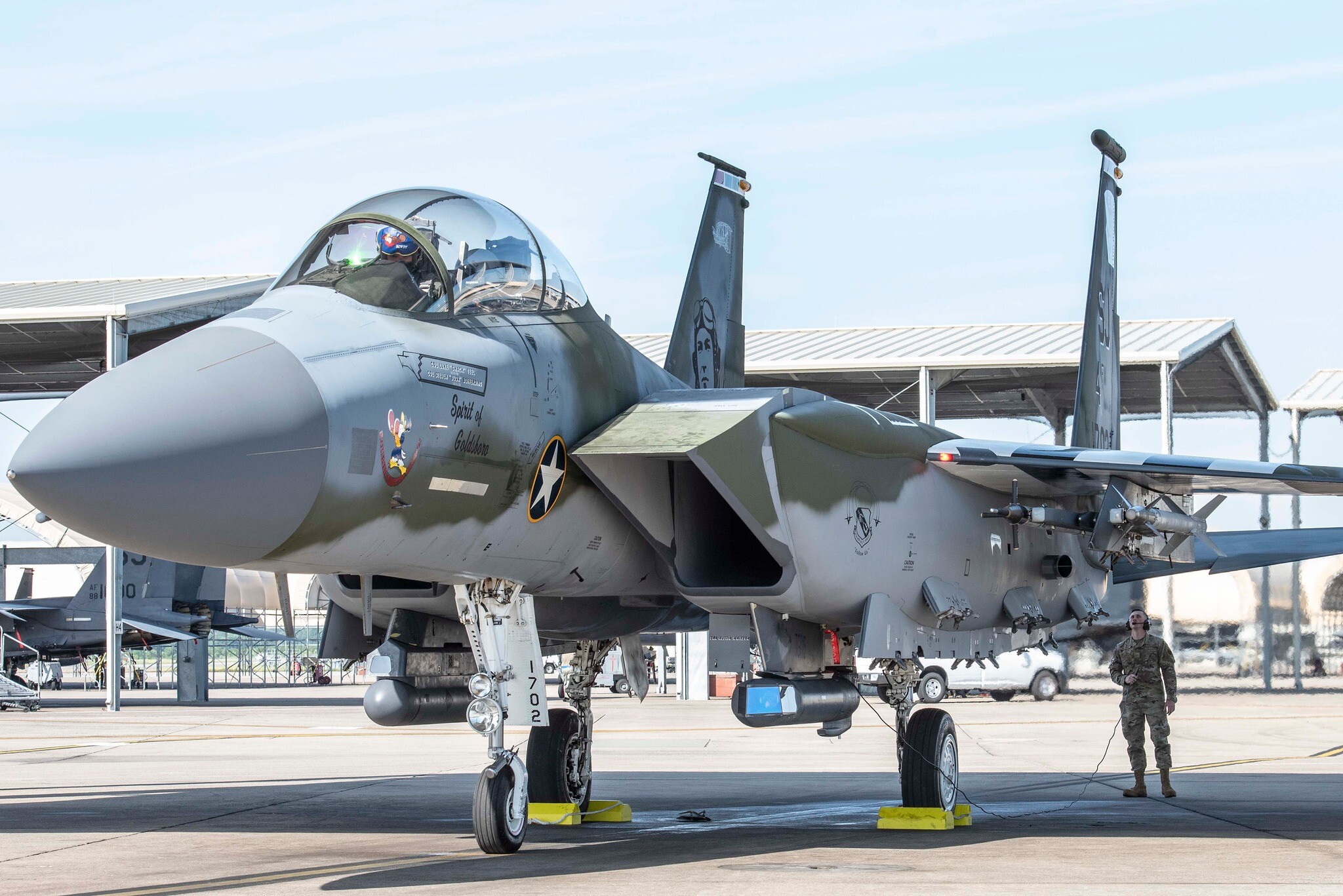 f-15e-livery-suggestions-page-3-f-15e-ed-forums