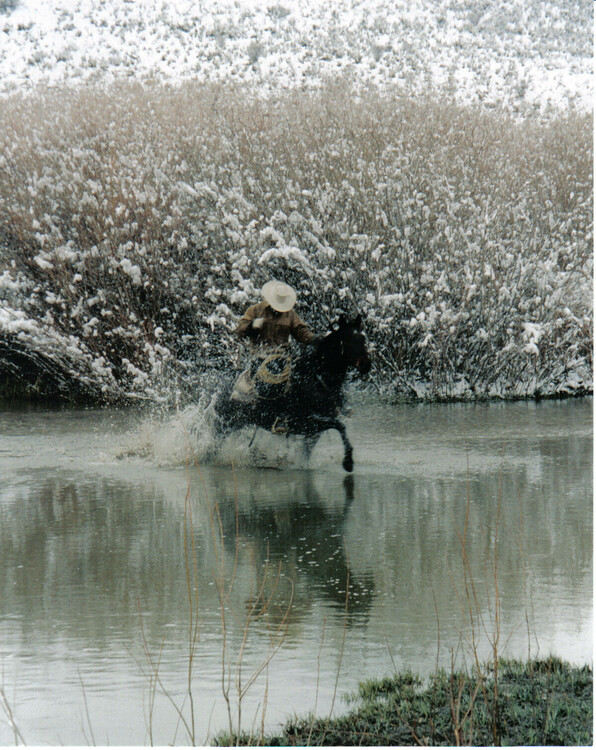 Jake Brown Willows.jpg