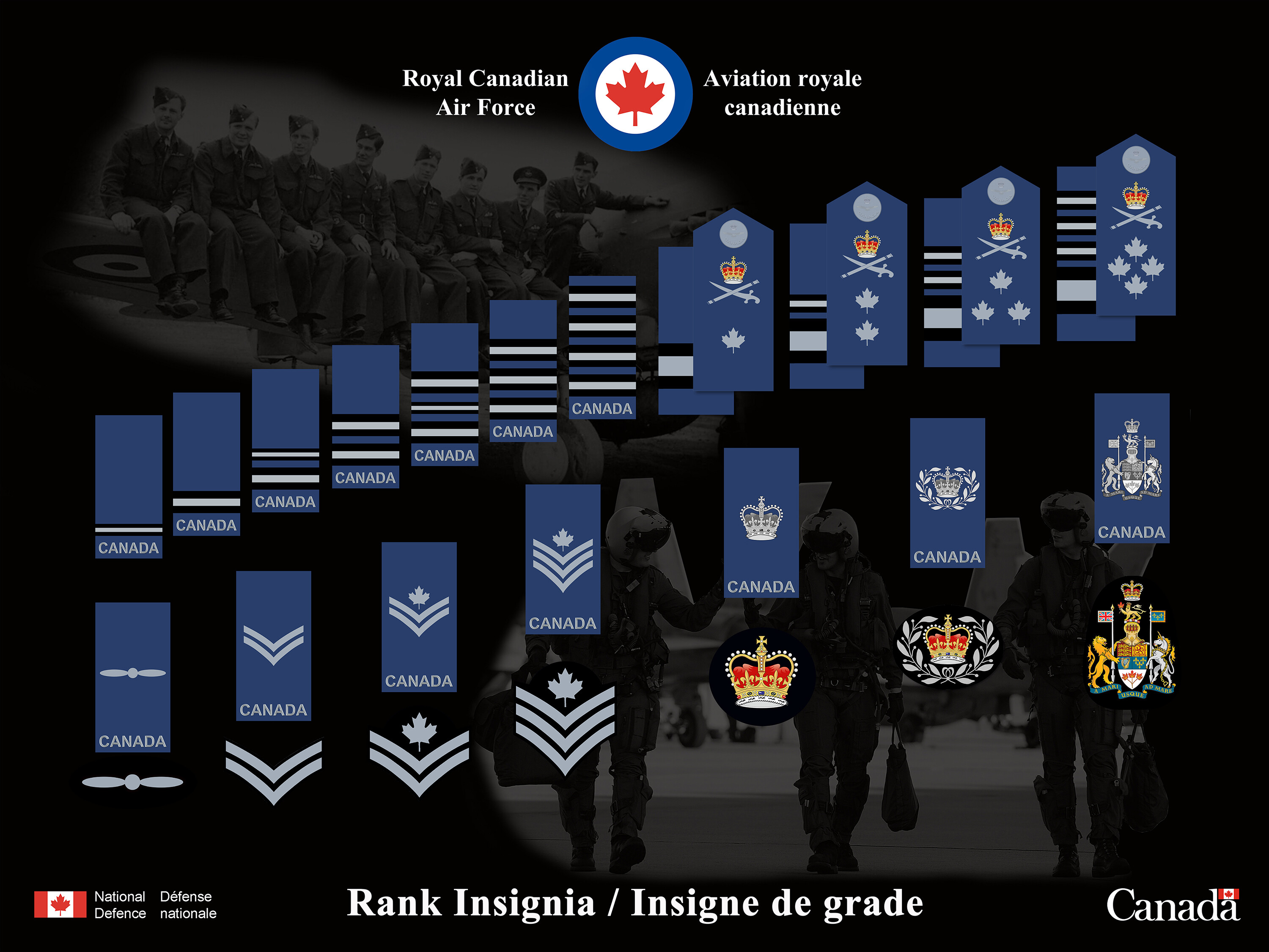 Royal Canadian Air Force modern ranks. - DCS Core Wish List - ED Forums