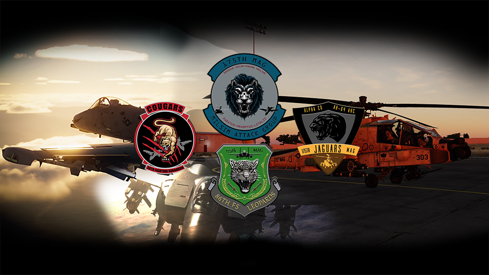 175th MAG "MilSim Attack Group"