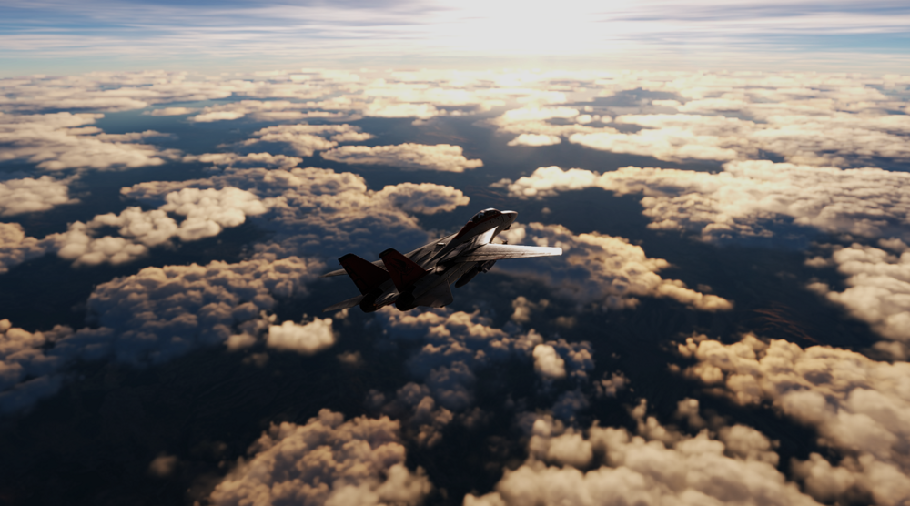 DCS f-14.png