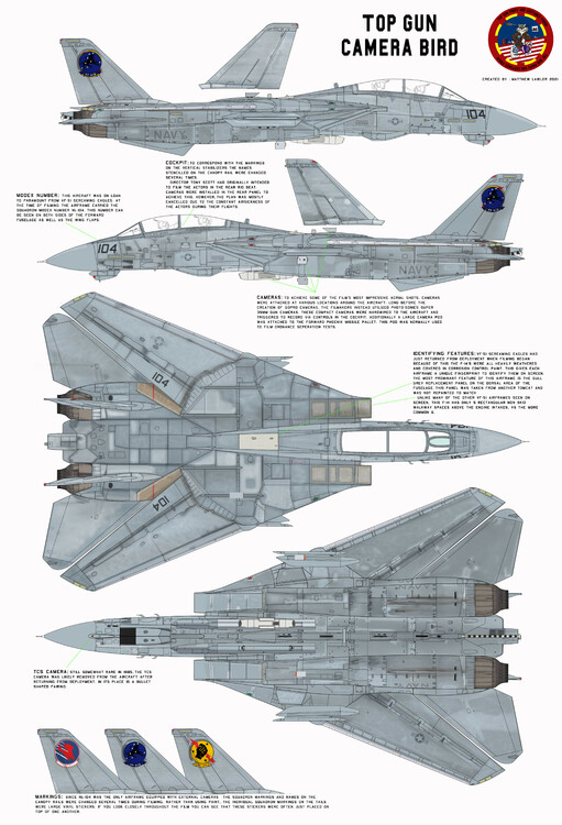 CAMERABIRDpaintschemeF-14A  copy.jpg