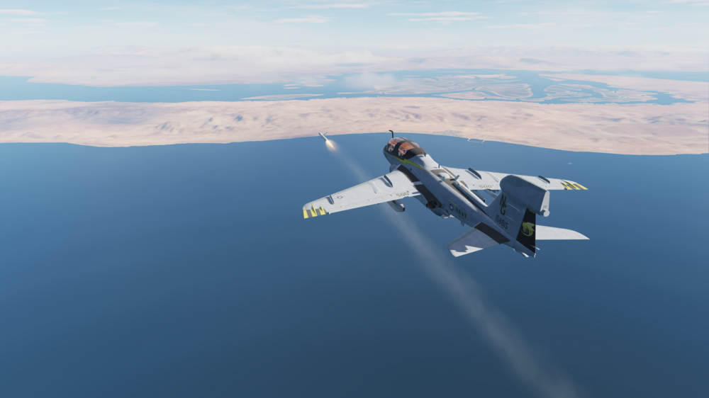 Digital Combat Simulator 1_19_2024 11_23_28 PM.png