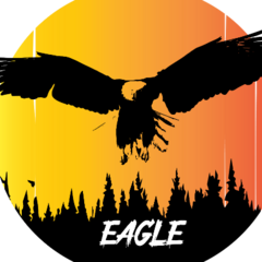eagle 1-1