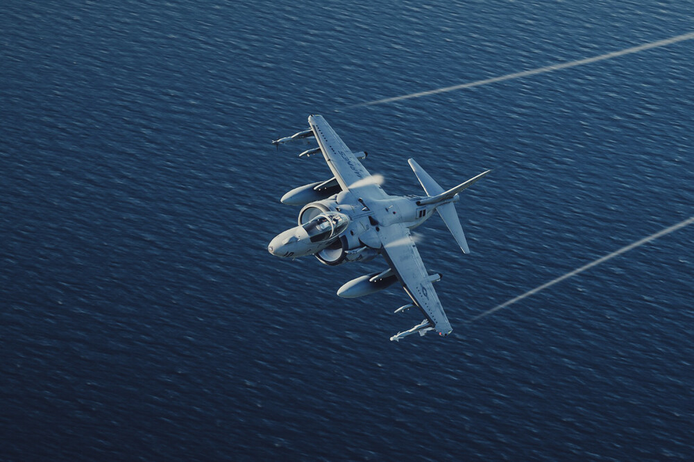 Harrier.jpg