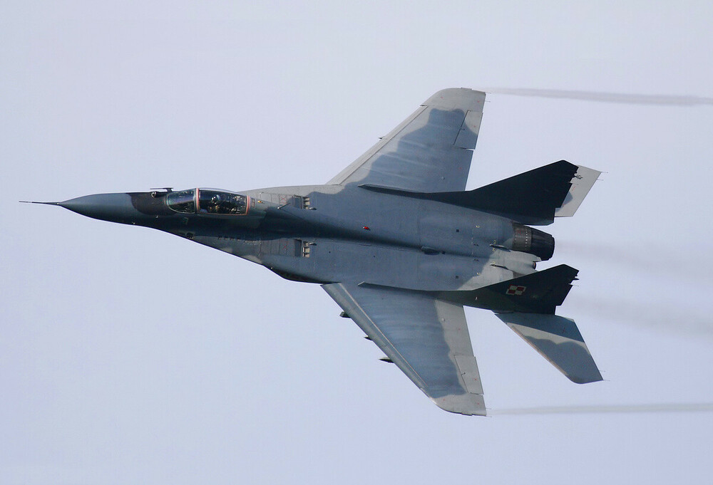 Mikoyan-Gurevich MiG-29_vol.5 (20).jpg