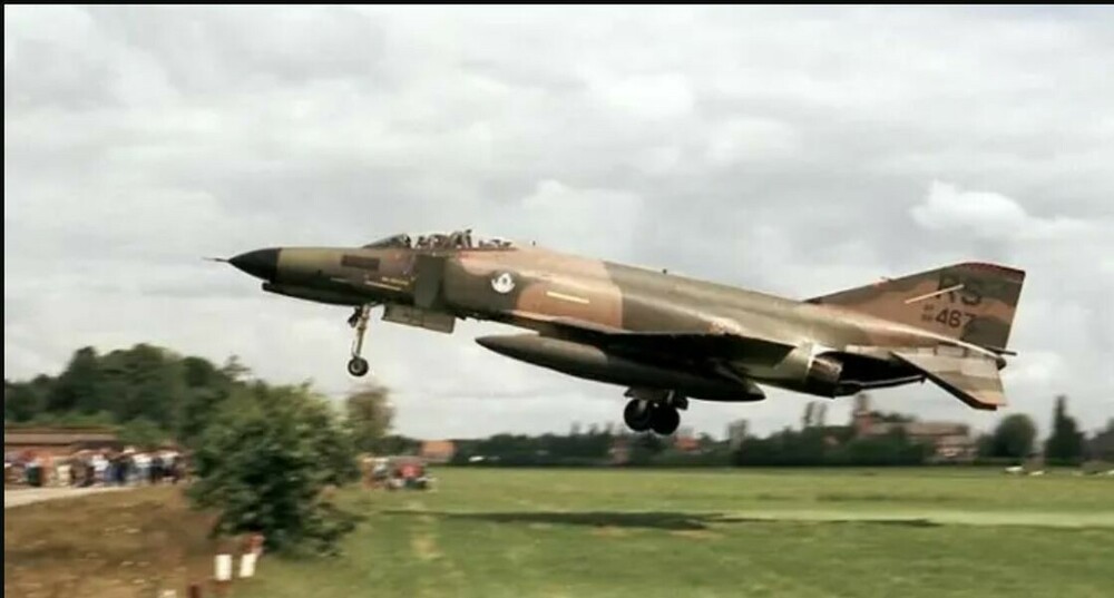 Rhino in the Bushes.jpg