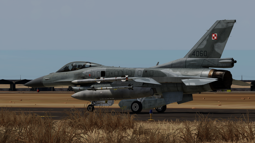 DCS 2024-06-05 18-17-46.png