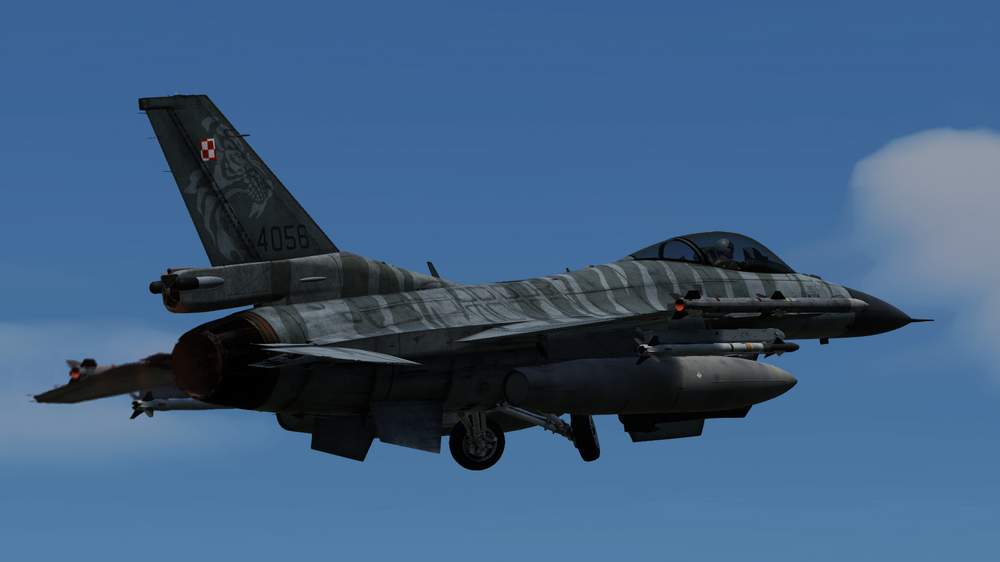 DCS 2024-07-21 11-57-58.png