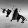 The Virtual Fighter Program