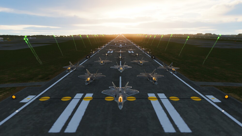 DCS - Elephant March 4.jpg