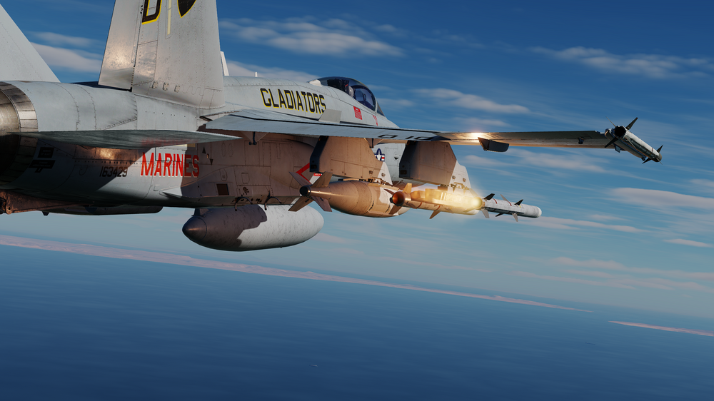 DCS 2024-07-26 12-53-54.png