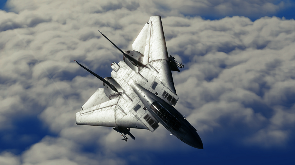 DCS F-14B 17.png
