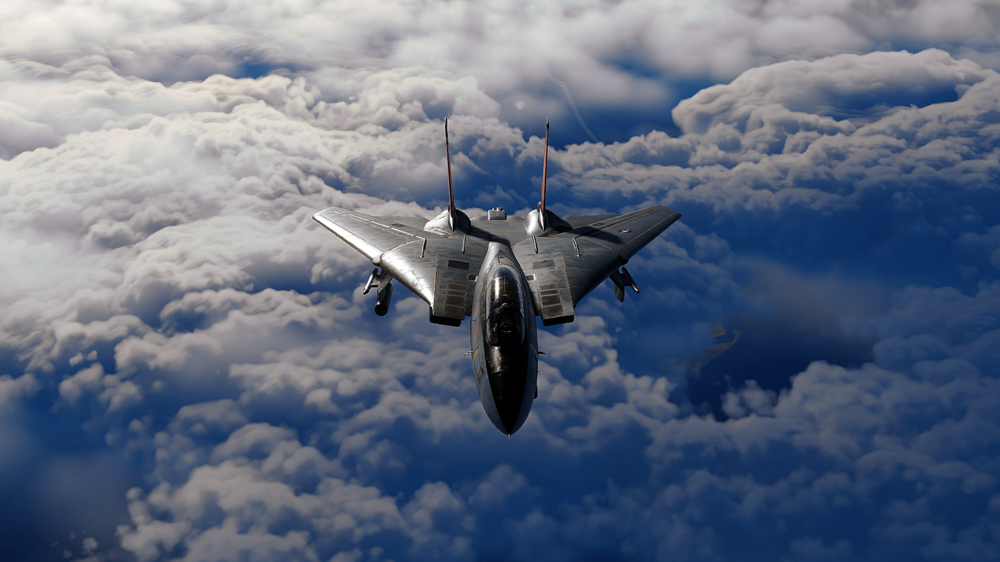 DCS F-14B 3.png