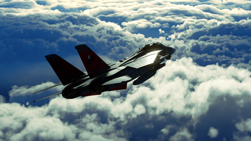 DCS F-14B 4.png