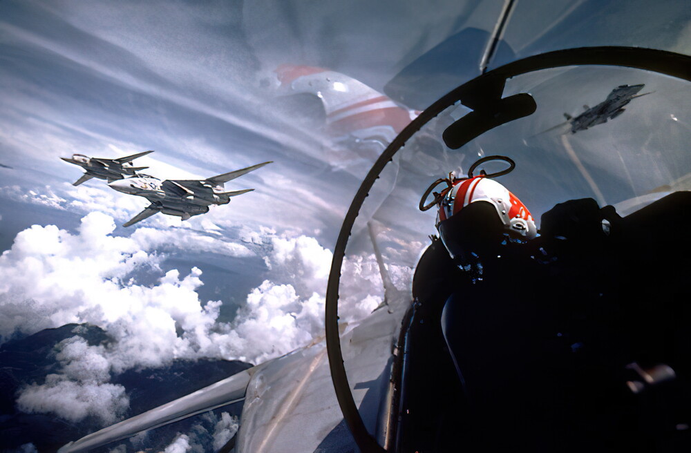 F-14_Tomcat_The cutting edge-gigapixel-standard-scale-6_00x.jpg