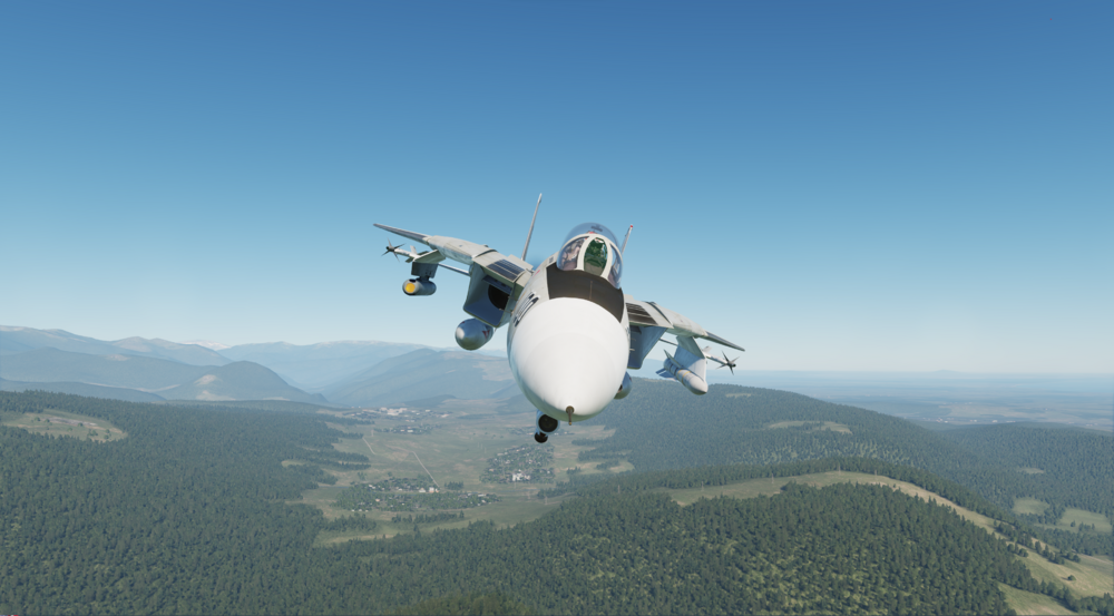 Tomcat in your face.png