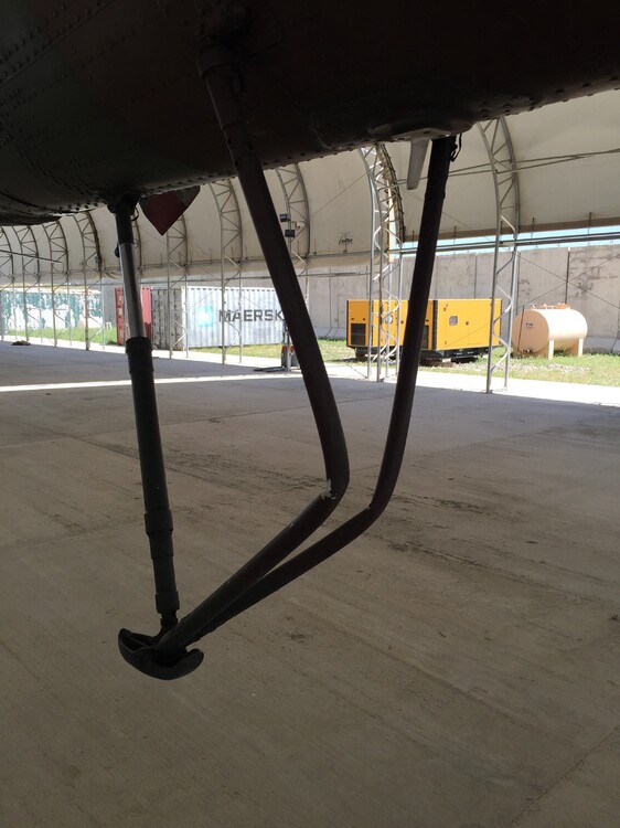 Library - 903 of 1129.JPG