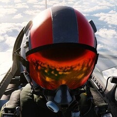 bandit648