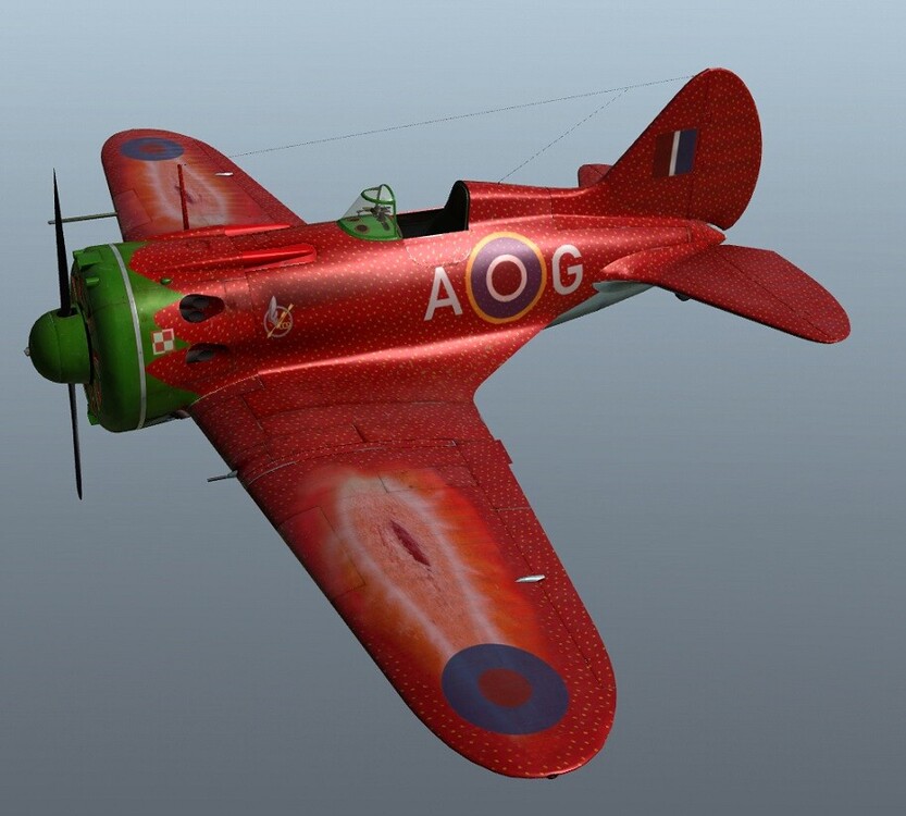 - 309 Polish i16.jpg