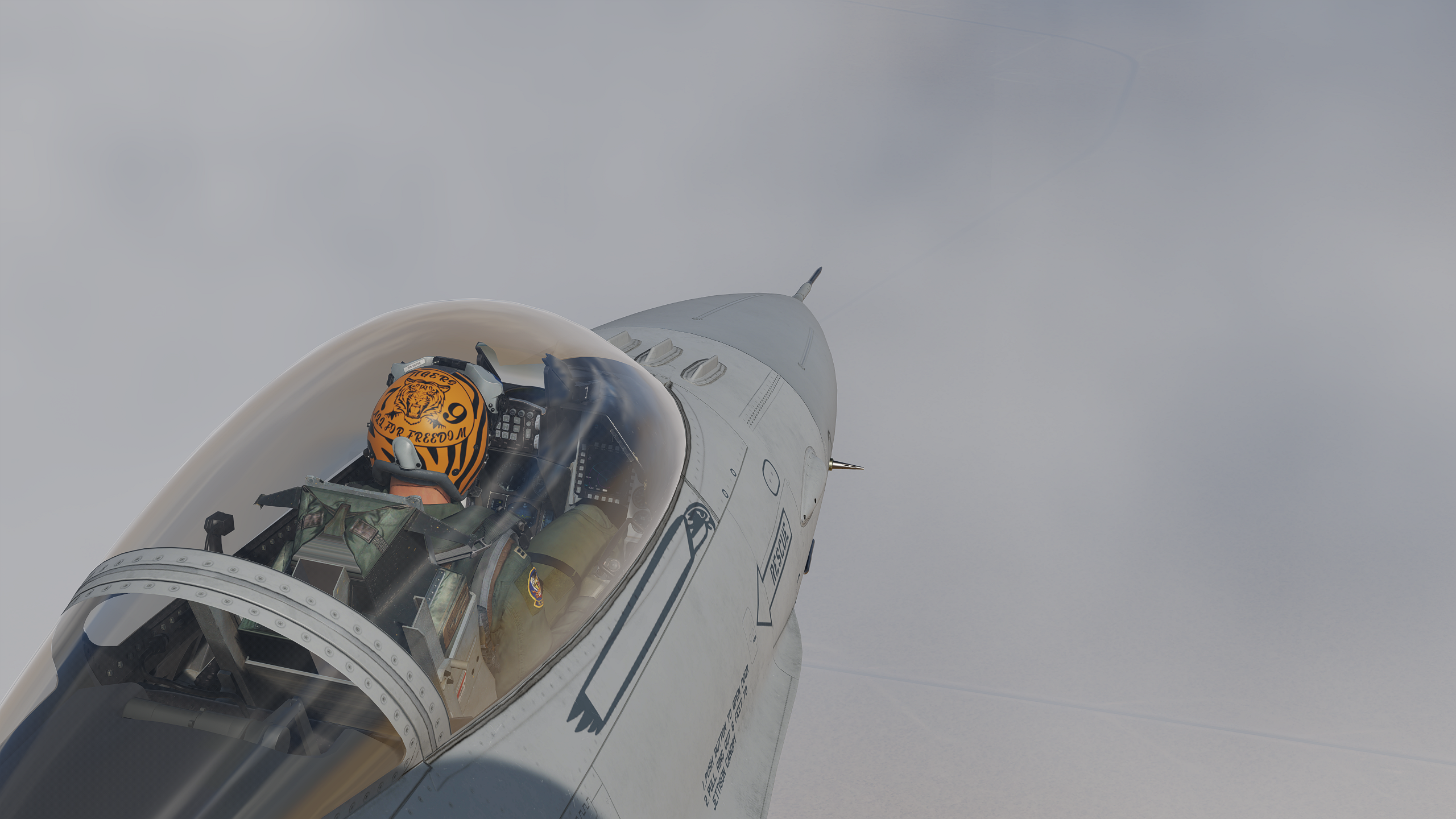 79th Tigers Flagship 91-0379 - 2005 Tiger Meet - F-16C - ED 79th Tigers Flagship 91-0379 - 2005 Tiger Meet - F-16C - ED